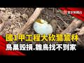 國1甲施工爆生態爭議！鷺鷥林遭砍鳥巢毁損、雛鳥找不到家｜#寰宇新聞@globalnewstw