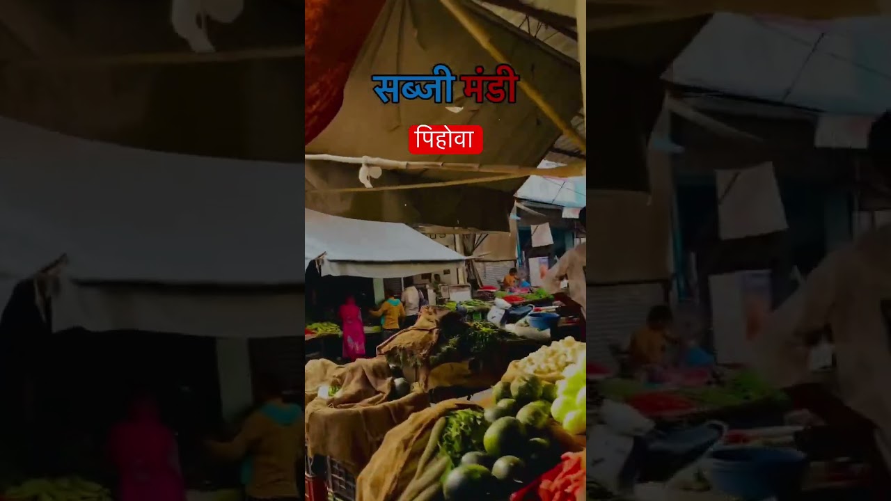 पिहोवा सब्जी मंडी 🥰 