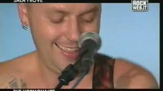 the hormonauts live