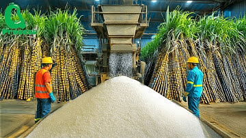How Sugar Is Made – Unbelievable Billion Tons of Sugar Processing In Factory