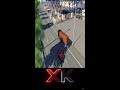 Euro Truck Simulator 2 - Ceasa