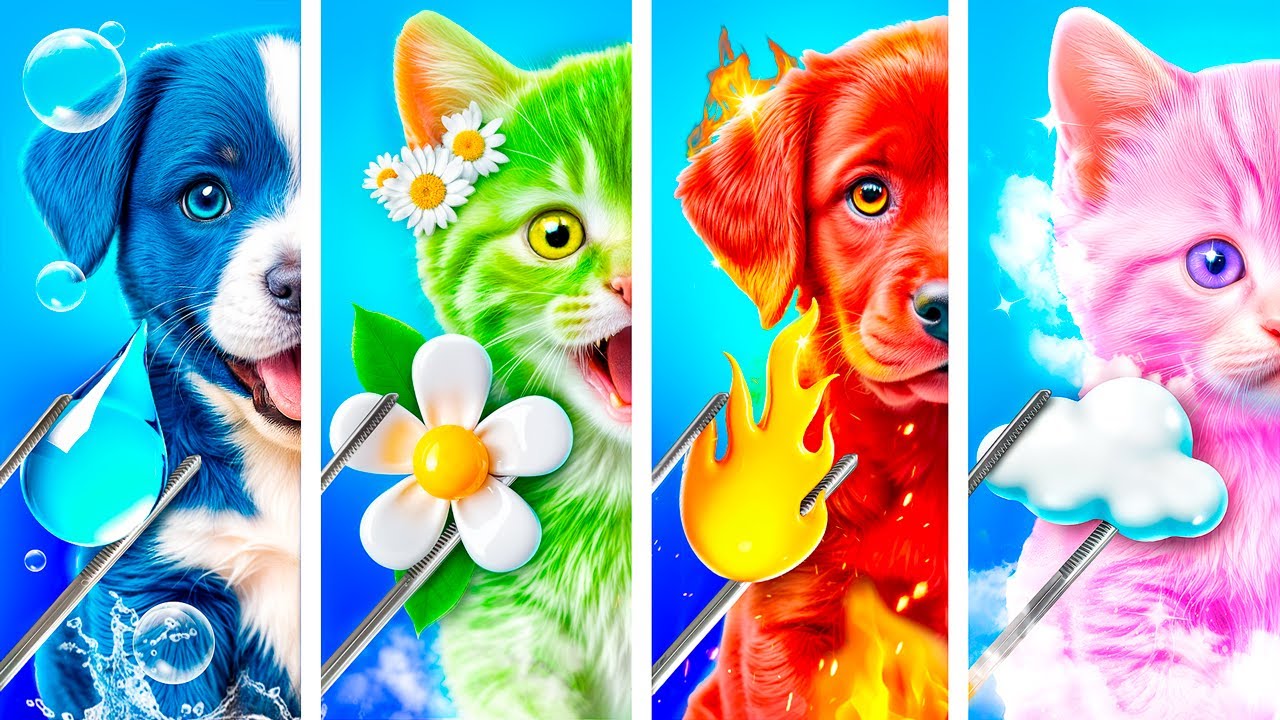 四つの元素のペットを助けた！火、水、空気、大地のペット！現実世界での究極の救出！