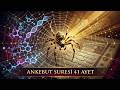 Allah (c.c) Neden Bir Sureye Örümcek Adı Verdi?