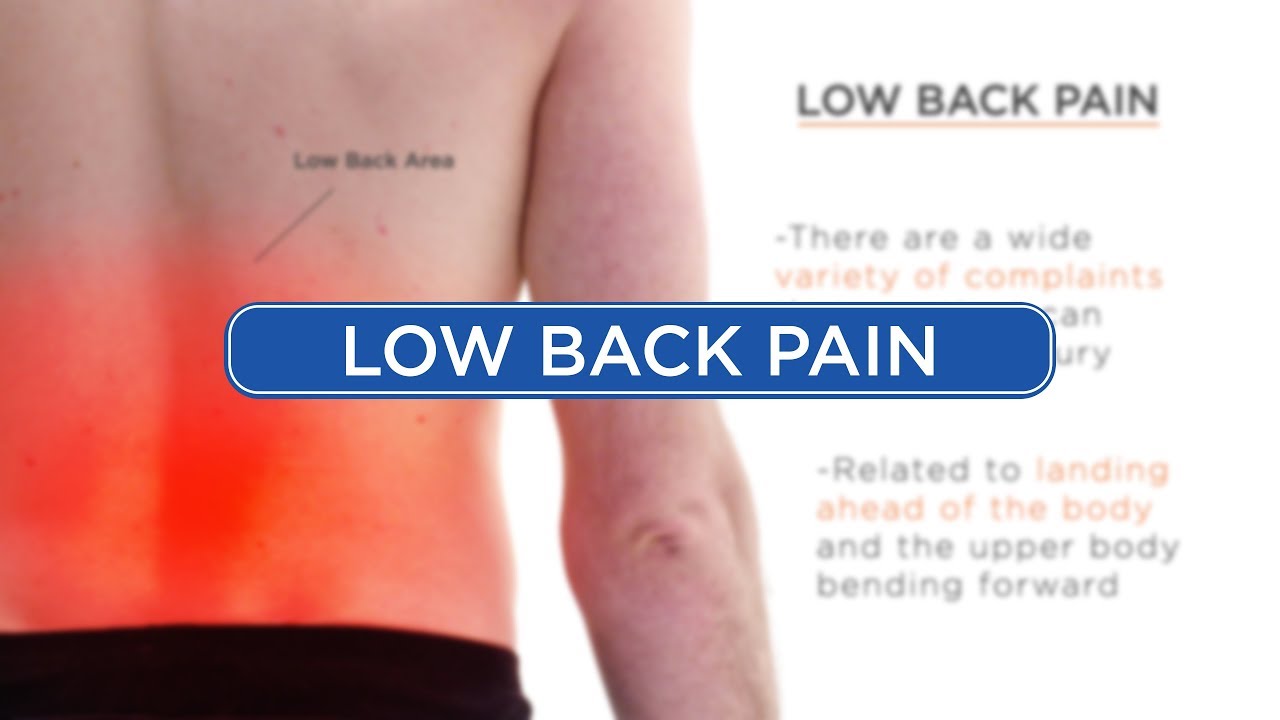 Back Diagnosis Chart