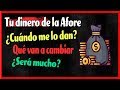 AFORE | Todo sobre TU Dinero en las Afores - Guía Completa 😎