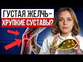 Страшные последствия застоя желчи! Главные причины, почему с желчью нужно работать ВСЕМ!