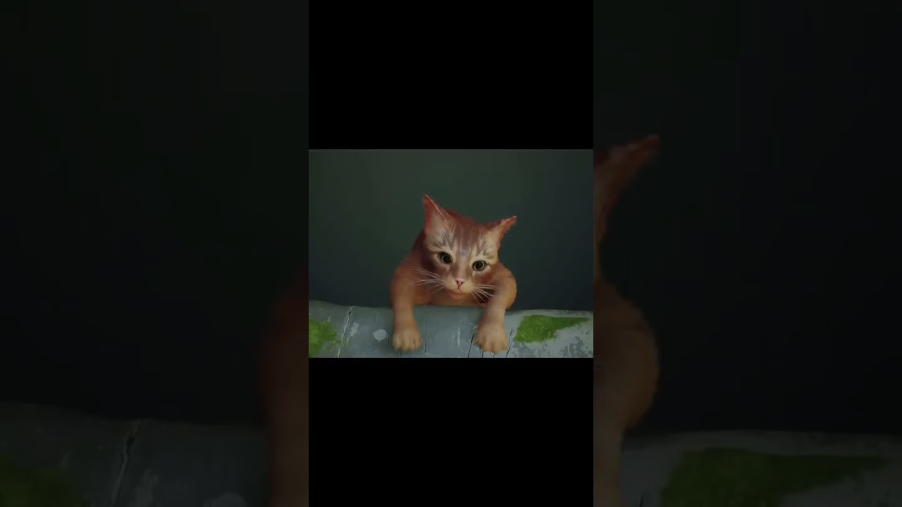 Dale Like si ayudarías a Stray