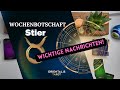 STIER 28.04-05.05.2025 Wochenlegung:Eine Woche der Erkenntnisse &amp; Herausforderungen | Tarot &amp; Orakel