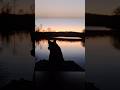Sunset Cruise, dogs boat ride. #dog #houseboat #lake #river #boat