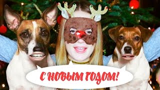 видео Мои поздравления с Новым Годом 2016!