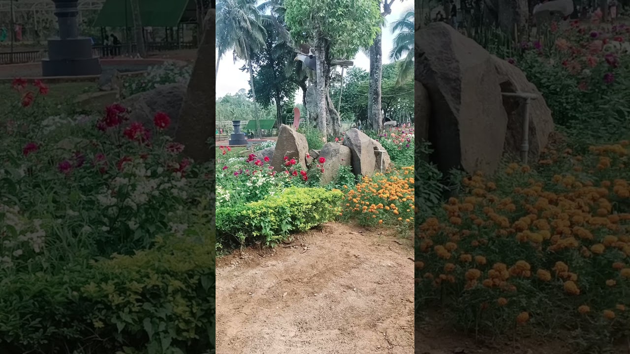 പൂപ്പൊലി 😍 