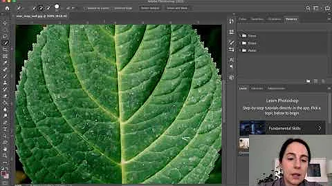 Photoshop Selection Tools