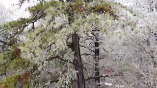 Ice Camp - Monongahela National Forest, Lake Sherwood in West Virginia