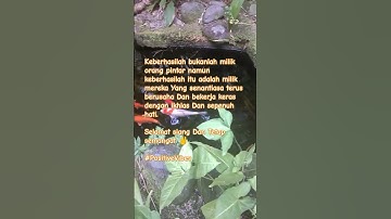 #Motivasi tentang kehidupan, pekerjaan dan asmara yang inspiratif