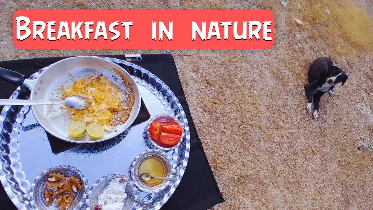 Breakfast in nature 🌵☕️🤩 - YouTube