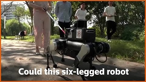 Could robots replace guide dogs for the visually impaired? | REUTERS