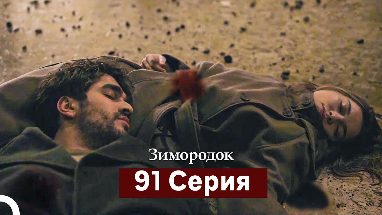 Зимородок 91 Cерия (Русский дубляж)