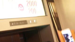 Hebe@Kinaz離場 20130511