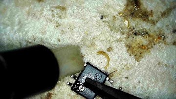 Timelapse (6x) of I2C flash Bus Pirate prep