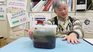 生命環境学科】 環境科学コース 研究室探訪－9 環境衛生工学研究室