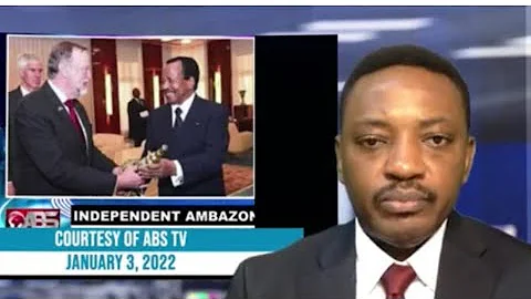 TIBOR NAGY ON AU and USA position towards Cameroon.