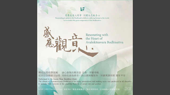 智慧花: 悉发菩提心 (拜愿) - 天天要闻
