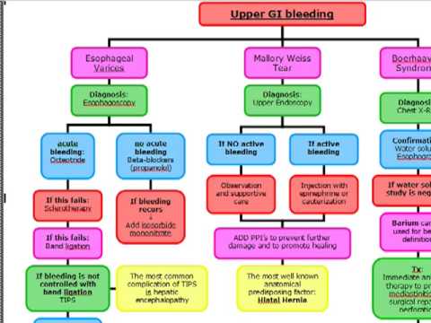 USMLE ALGORITHMS Upper GI Bleeding YouTube USMLE ALGORITHMS Upper GI Bleeding YouTube