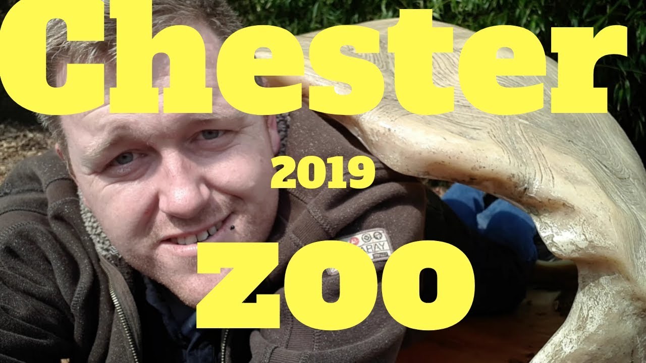 A Trip To Chester Zoo August 2019 Youtube