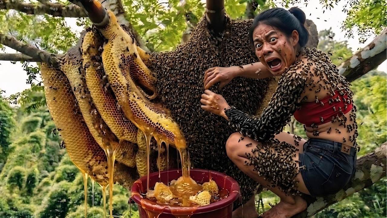 巨大蜂の巣で命がけの蜂蜜採取｜Extreme Wild Honey Harvest on