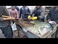 УЗИ для осетра на бывшем гиганте рыбоводной отрасли, Троицкий рыбхоз