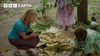 Volcanic Ash Farming | Journey To Fire Mountain | BBC Earth Science