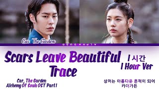 [1시간/HOUR] Car, The Garden (카더가든) - Scars Leave Beautiful Trace (상처는 아름다운 흔적이 되어) (환혼 OST)