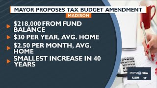 Mayor proposes tax budget amendment