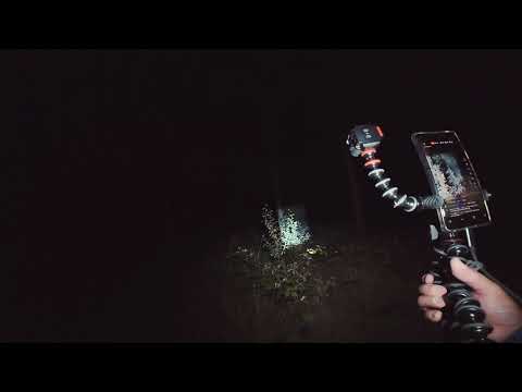 "What the hell is that...?": Solo investigation