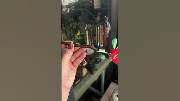 Trâm cài tóc cổ trang , hoa kẽm nhung ép tay #cổtrang #tramcaitoc #kemnhung #绒花