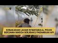 KEBAKARAN LAHAN DI WAYABULA, POLISI BERSAMA WARGA BERJIBAKU PADAMKAN API