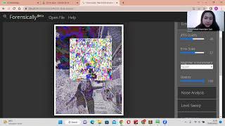 FORENSIK GAMBAR (Analisa Foto Menggunakan Aplikasi dan Website) screenshot 3