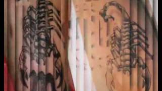 Scorpio Tattoo Designs