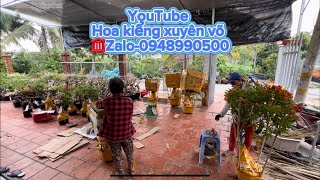 Phát trực tiếp của Hoa kiểng Xuyên Võ