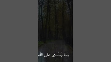 القارئ سلمان العتيبي. ♡♡