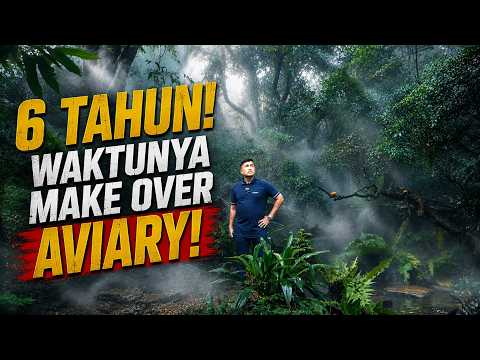 6 TAHUN AVIARY, SUDAH WAKTUNYA DIMAKE OVER LAGI!