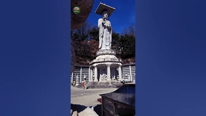 Sacred Serenity in Seoul: Buddha's Statue and Reflecting Mirror with Om Mani Padme Hum Music #shorts