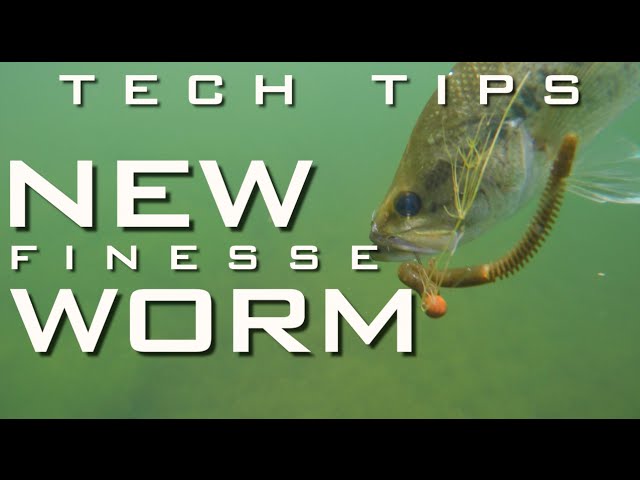 How to Catch Finicky Bass with the New Berkley Finesse Worm 