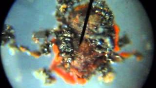 micro meteorite 2