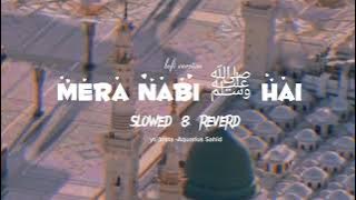 mera Nabi hai /slowed reverd naat/lofi version Nasheed