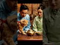 Urdu-Speaking Cat Sneaks Spicy Chai Into Chinese Tea Ceremony! | Nebula Shots