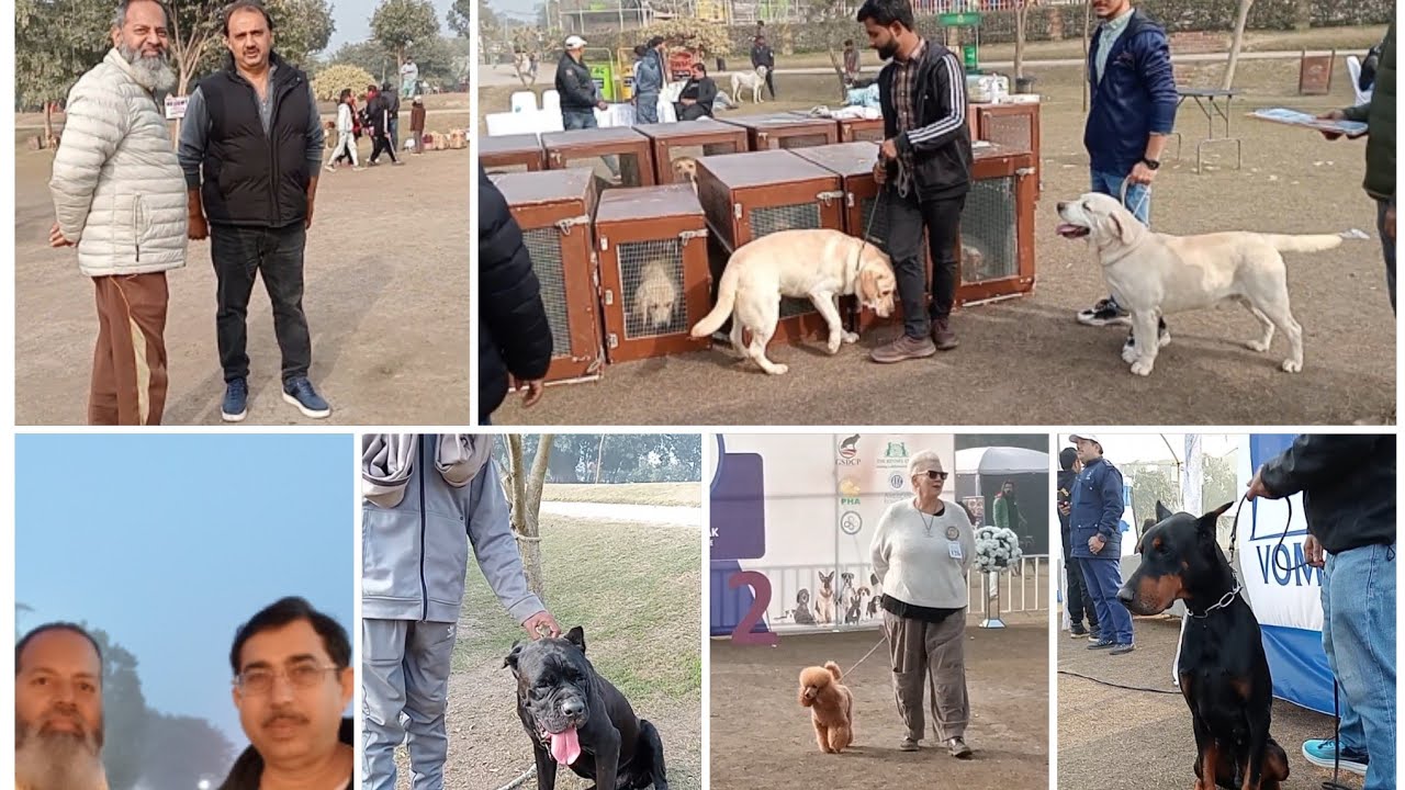 Pakistan Dog Show CACIB Show In Lahore Race Course Park Pakistan 14 1 pakistan-dog-show-cacib-show-in-lahore-race-course-park-pakistan-14-1