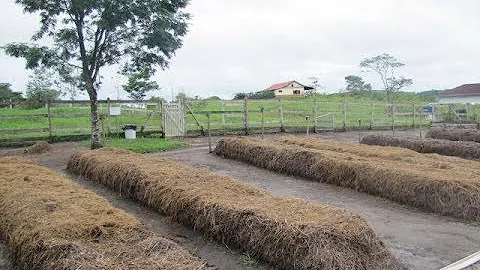 Como é feito um composto orgânico?