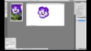 Digital Speed Painting Pansy screenshot 2