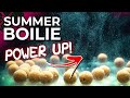 MAKE YOUR BOILIES DO THIS! 🔥😮